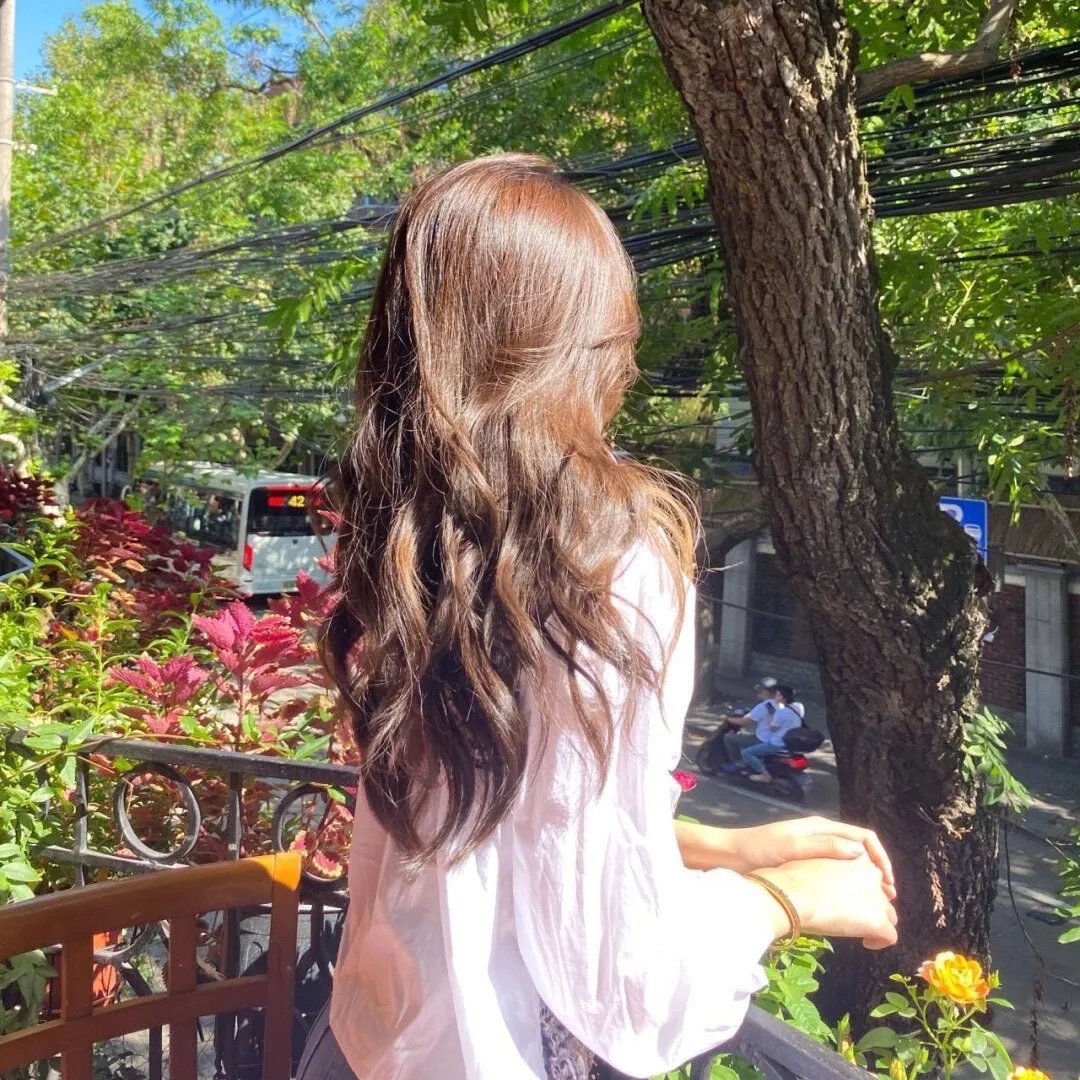 藏珠