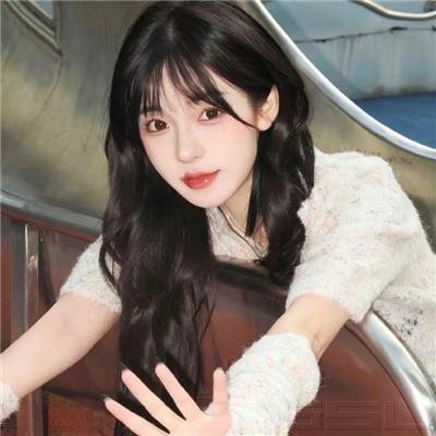 来自日本的机器狗